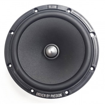 Мидбасы BLAM W165R2