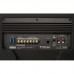 Корпусной активный сабвуфер Focal Performance DSA 500 RT